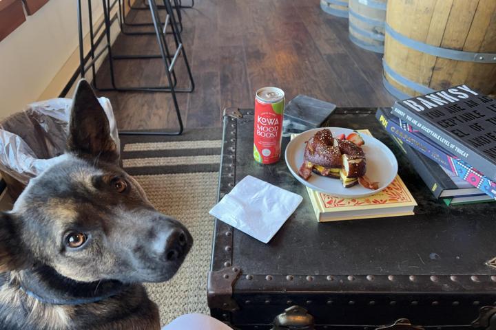 Pet Friendly Enuf Pastry & Cheese