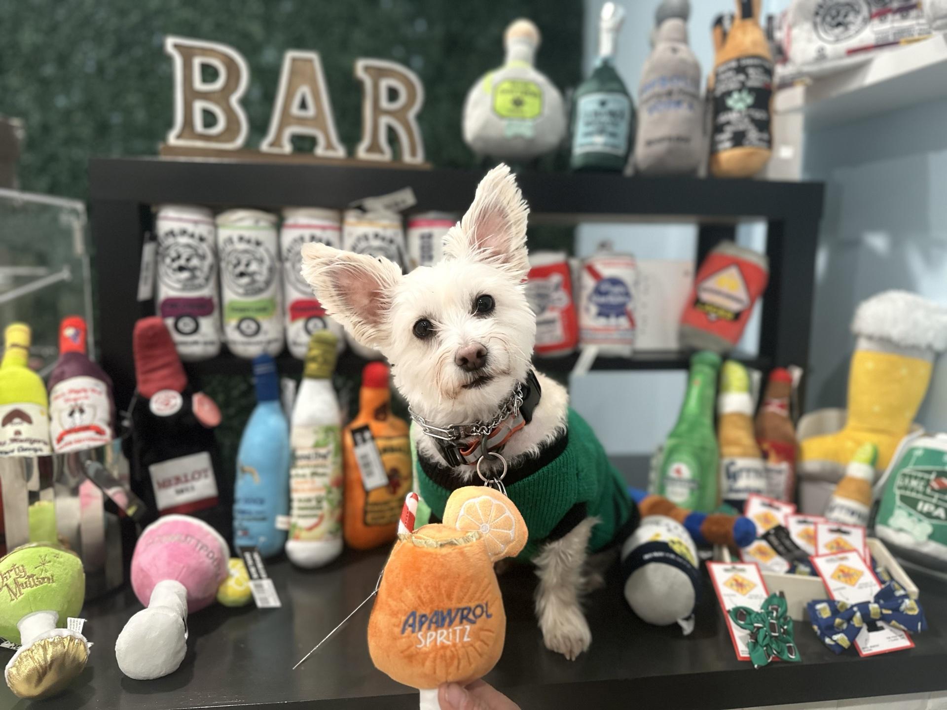 Pet Friendly Spoiled Bitch Dog Boutique