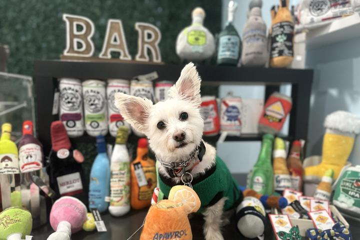 Pet Friendly Spoiled Bitch Dog Boutique