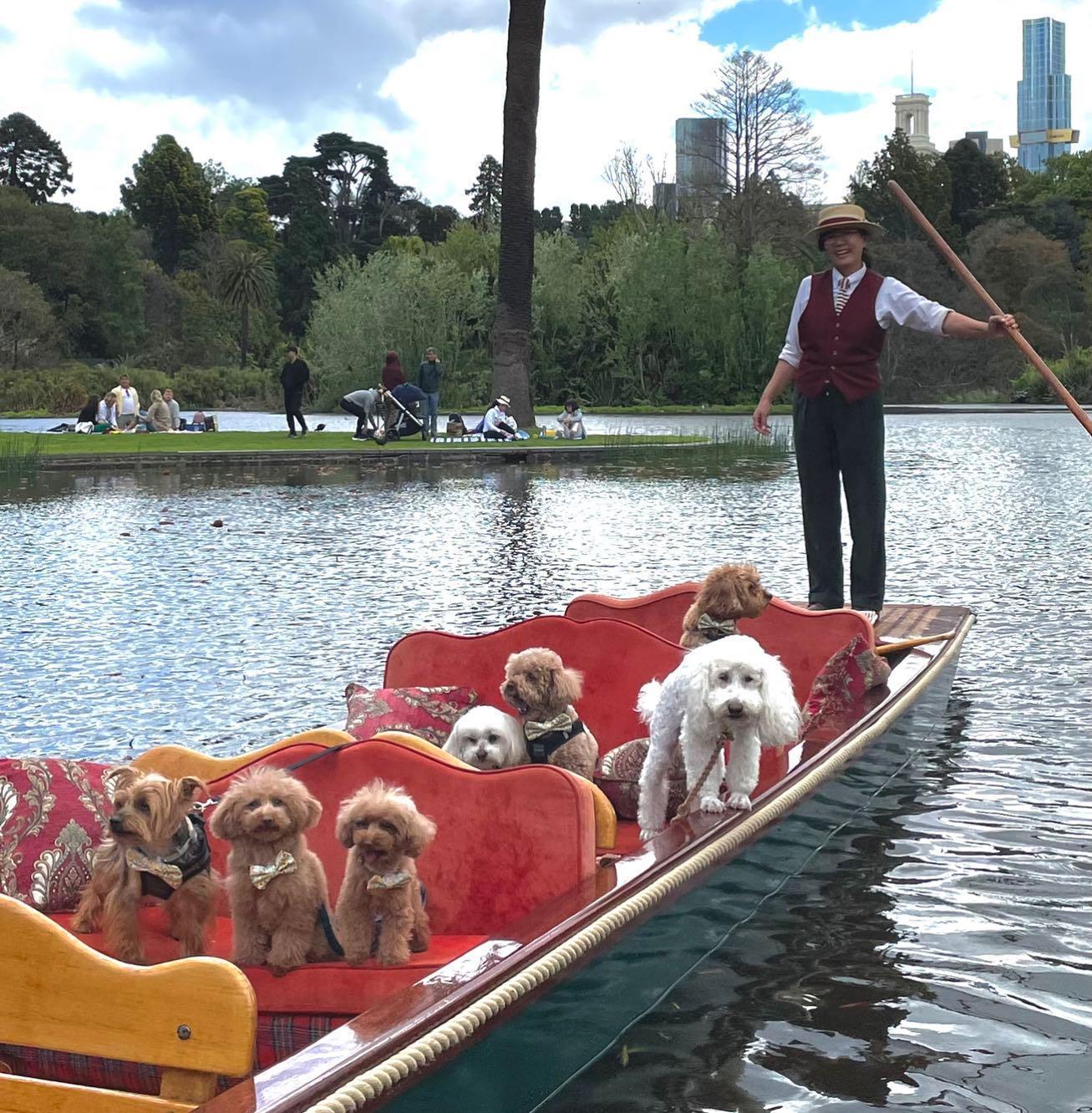 Pet Friendly Punting on the Lake