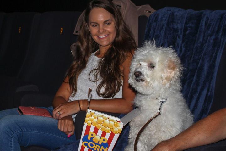 Pet Friendly Pálás Cinema