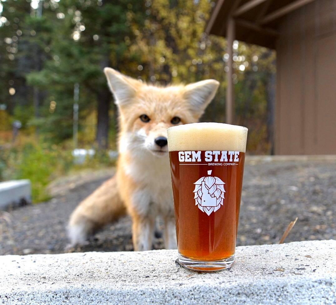 Pet Friendly Gem State Brewing Company
