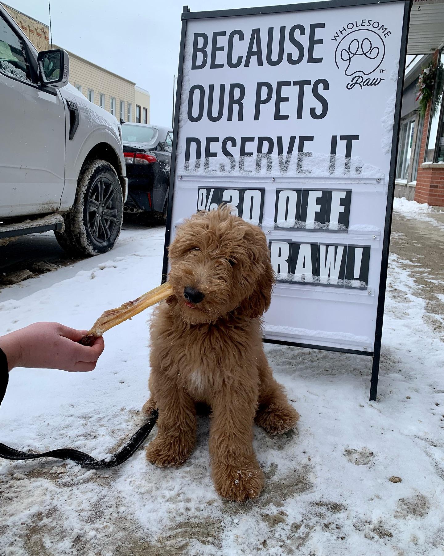 Pet Friendly Wholesome Raw