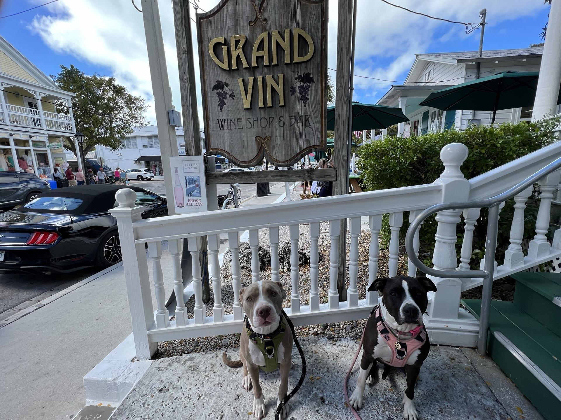 Pet Friendly Grand Vin Wine Bar