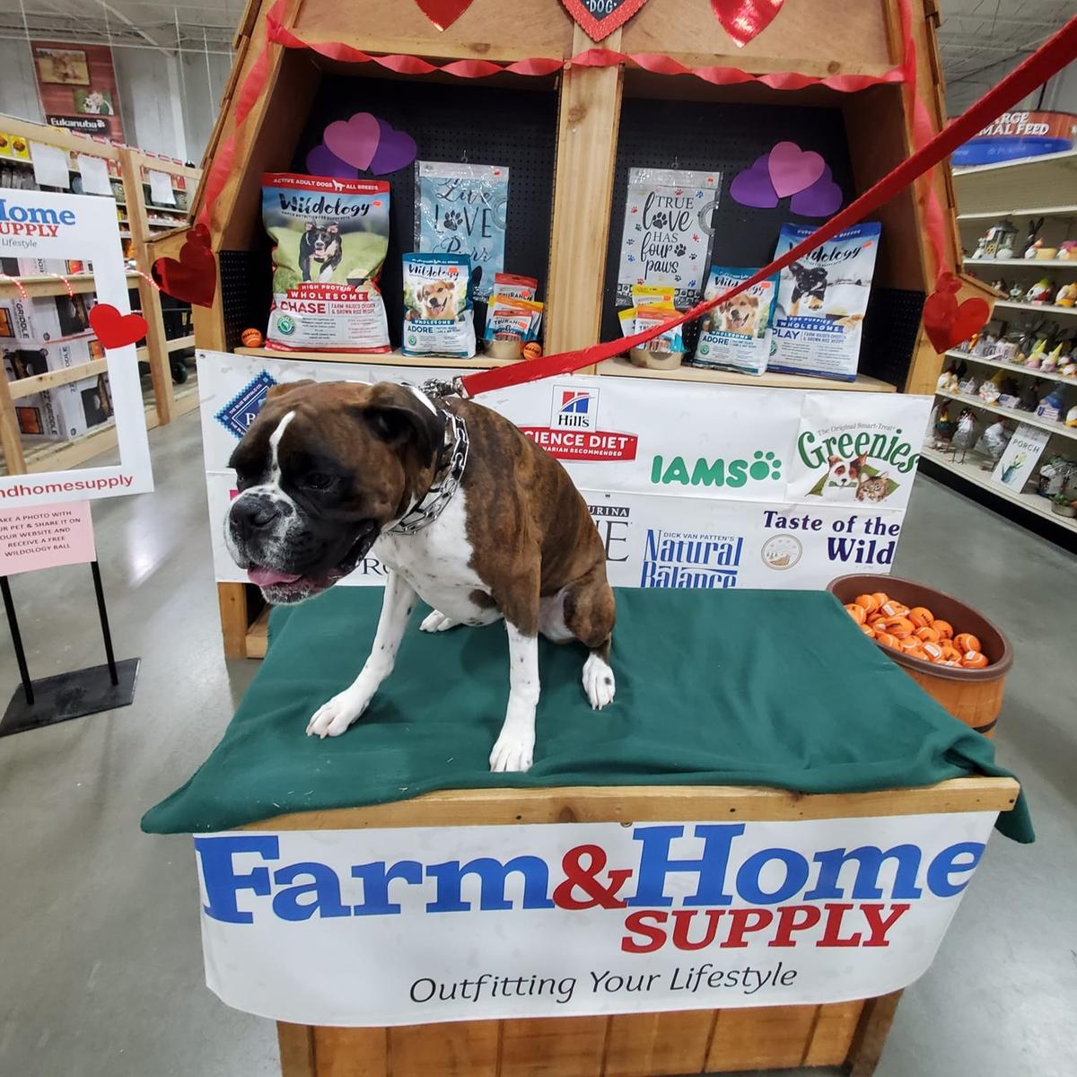 Farm Home Supply Quincy