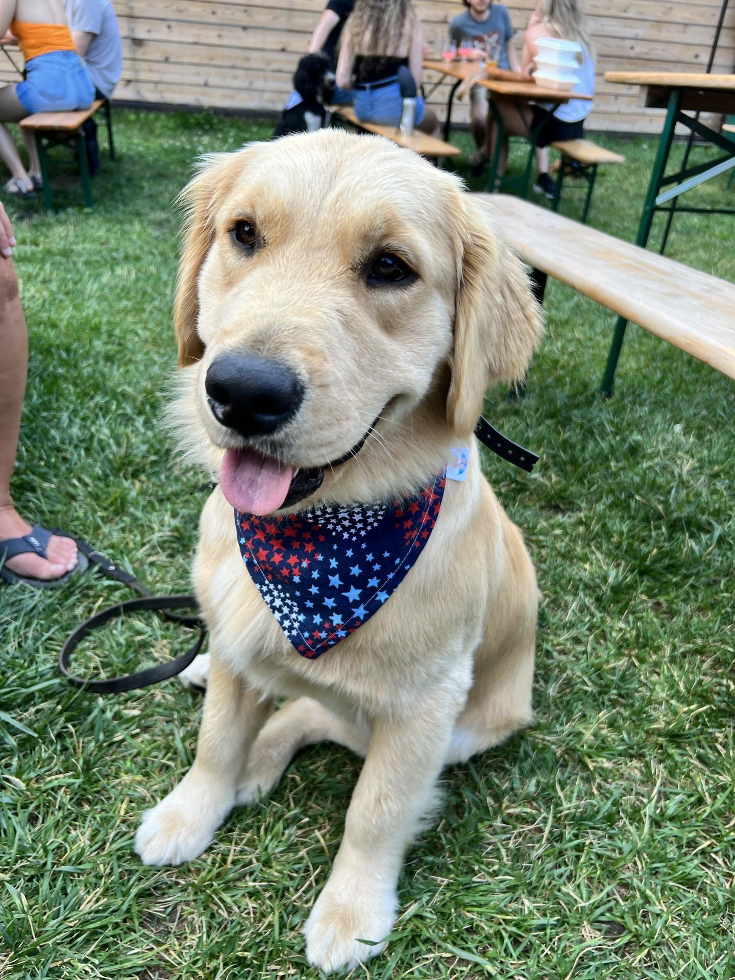 Pet Friendly Parsons North Brewing Company