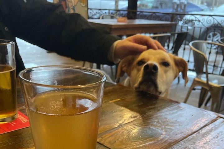 Pet Friendly Beer Baron Bar & Kitchen