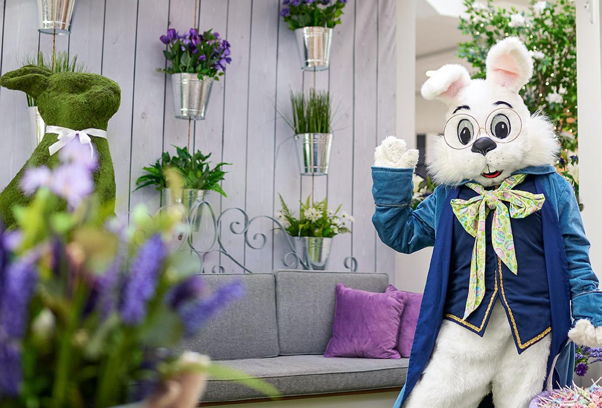 Pet Friendly Pet Photos with the Bunny at Walt Whitman Shops