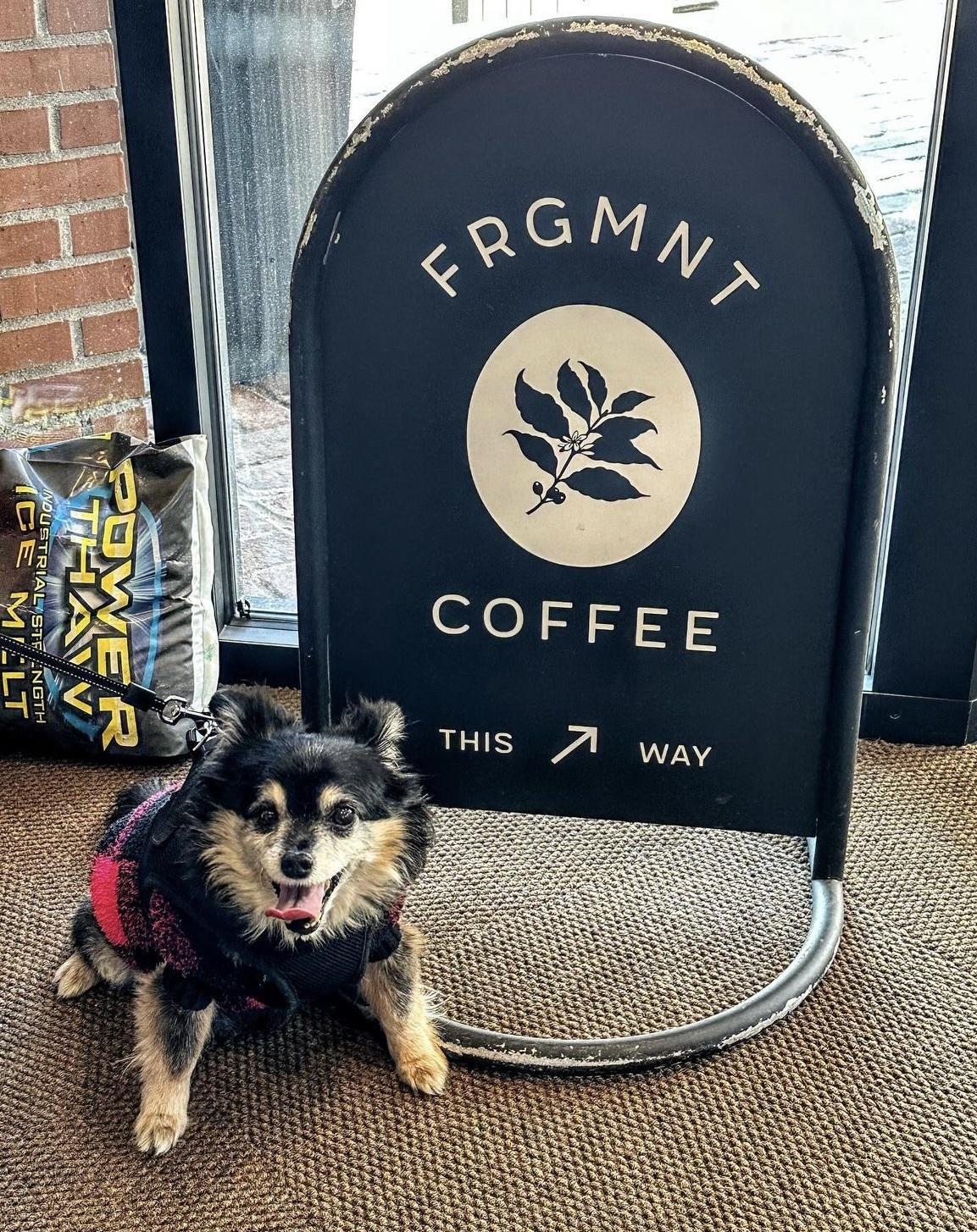 Pet Friendly FRGMNT Coffee - St. Anthony Main