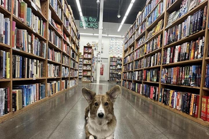Pet Friendly Half Price Books