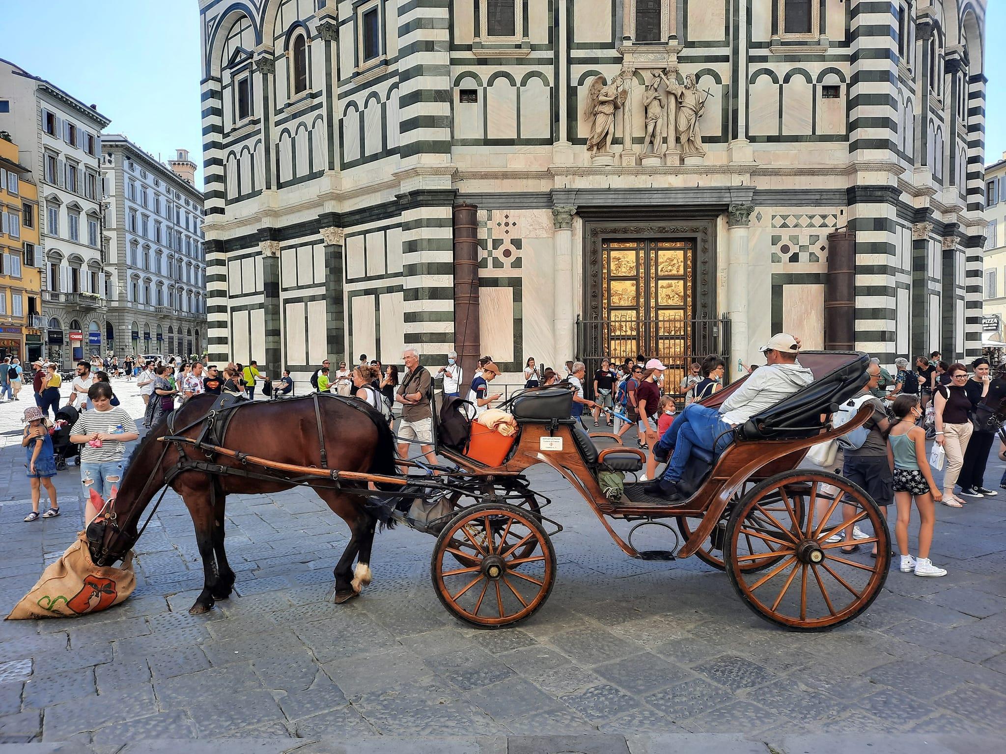 Pet Friendly Florence Tours by Made of Tuscany