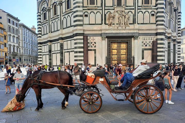 Pet Friendly Florence Tours by Made of Tuscany