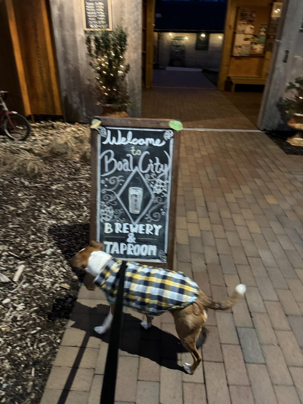 Dog Friendly Activities in Vandergrift PA BringFido