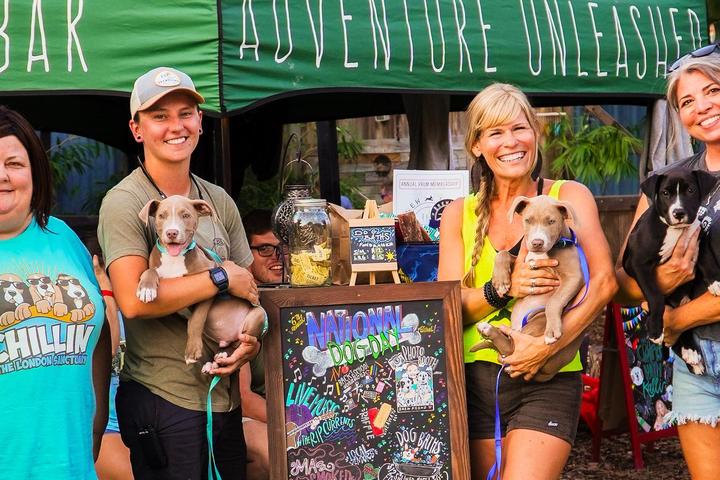 Pet Friendly The Doggone Delicious DIP-OFF