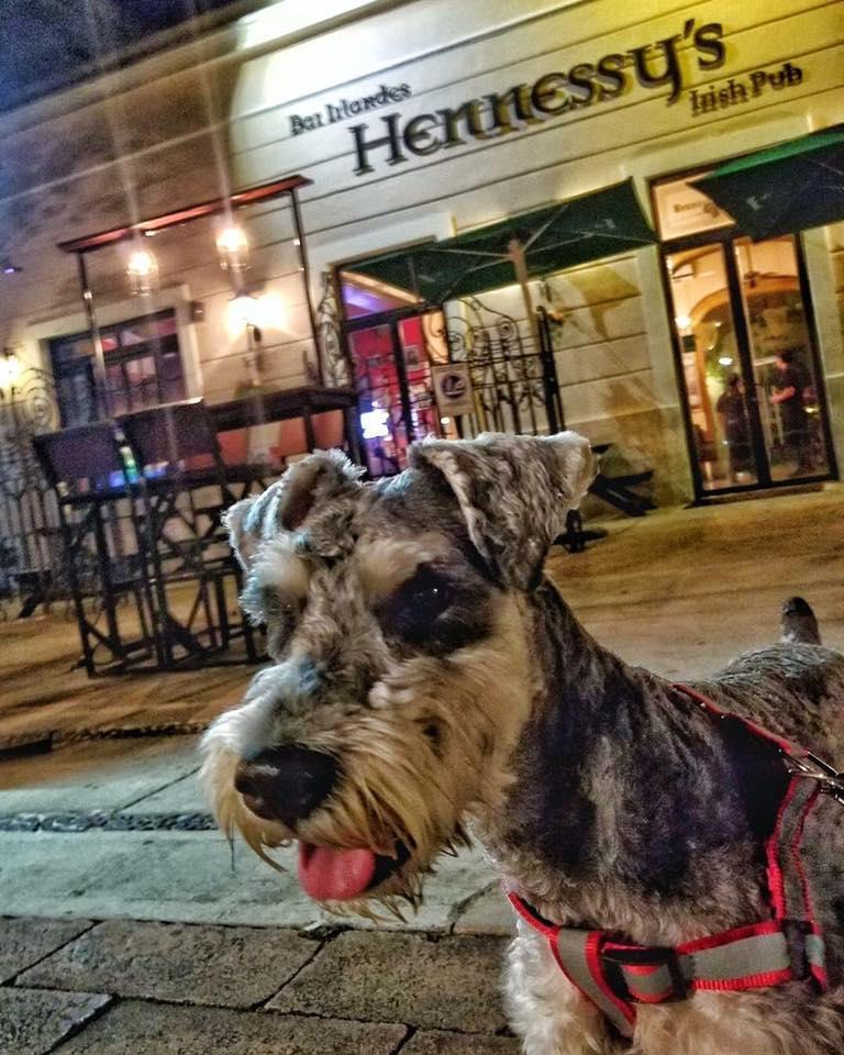 Pet Friendly Hennessys Irish Pub