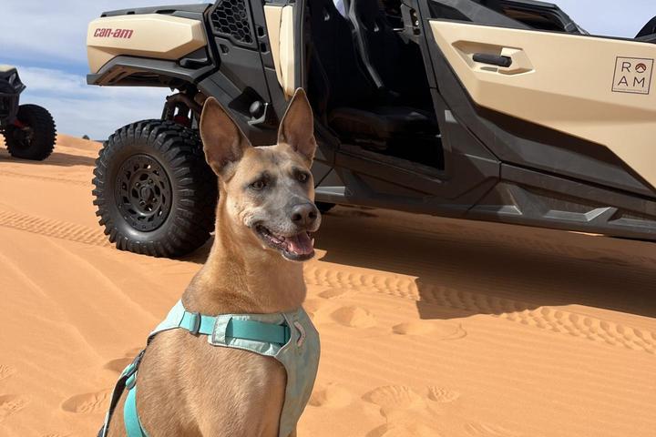 Pet Friendly Coral Pink Sand Dunes State Park
