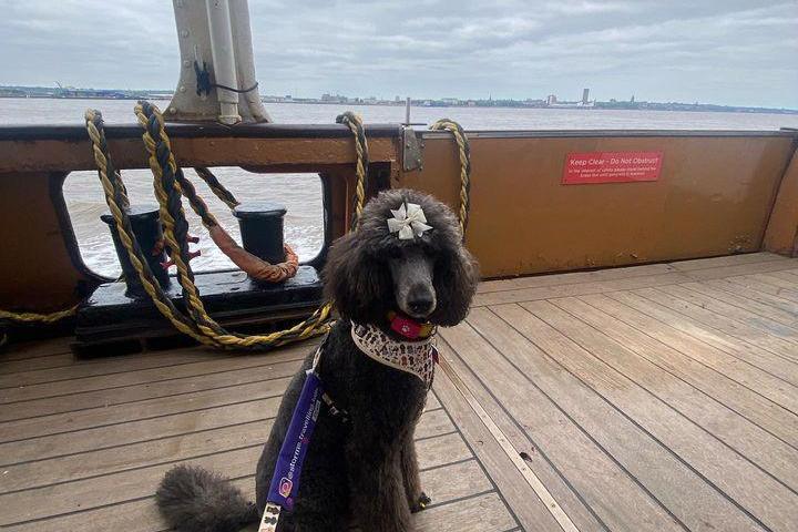Pet Friendly Mersey Ferries