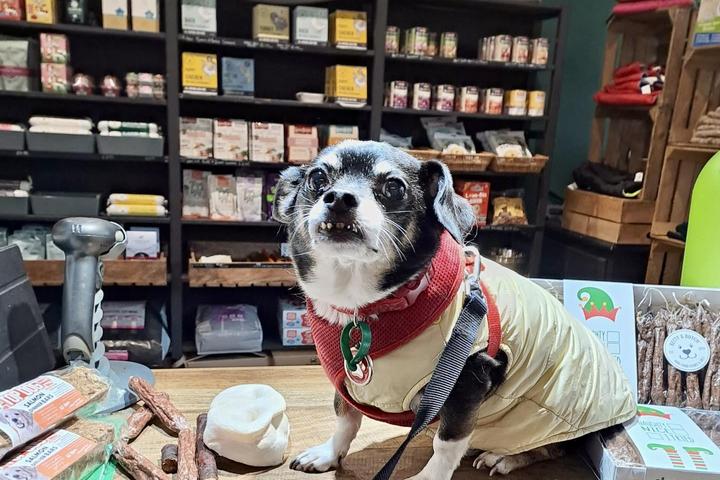 Pet Friendly Betty & Butch Dog Store Chorlton