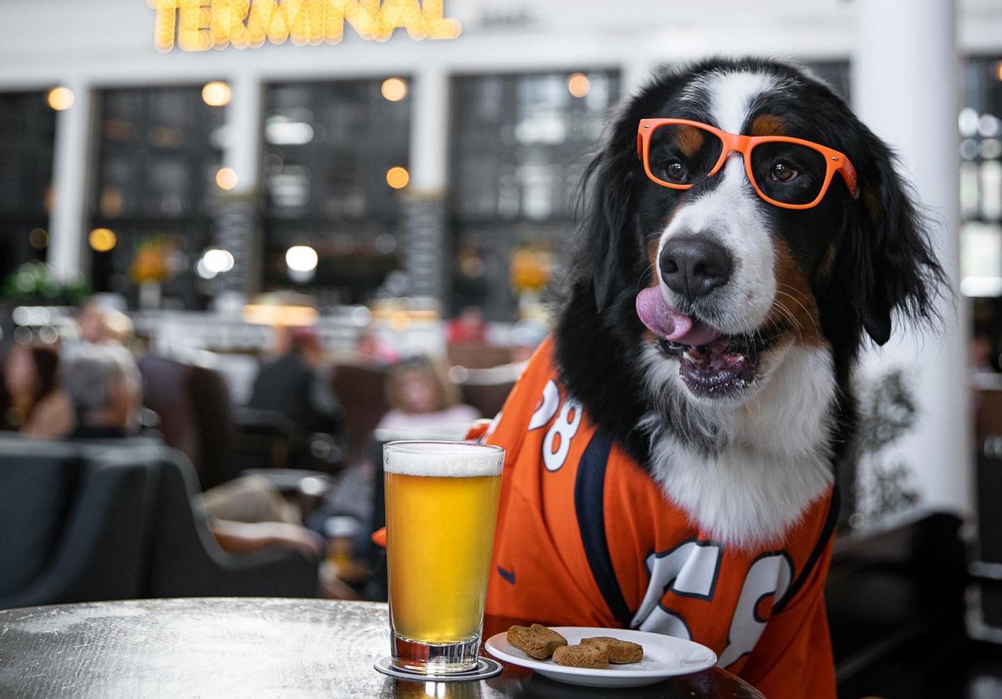 Pet Friendly Yappy Hour on The Plaza