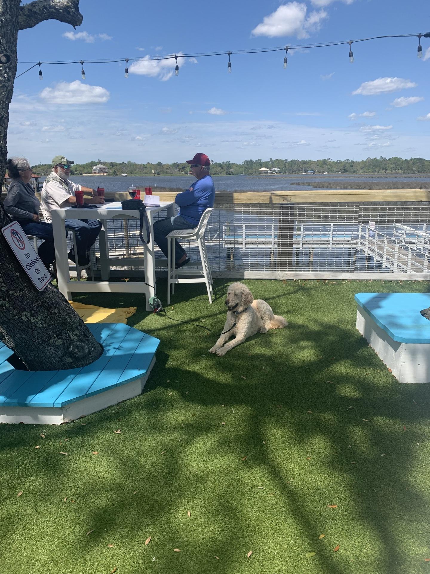 Pet Friendly Bacchus On The Bayou