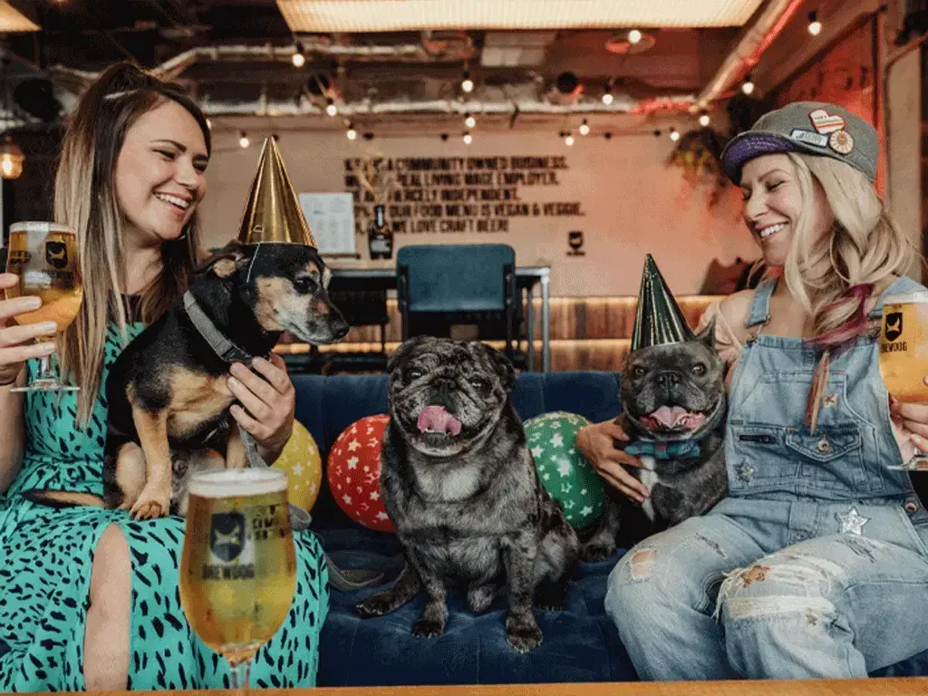 Pet Friendly Brewdog DogHouse Manchester Bar & Rooftop