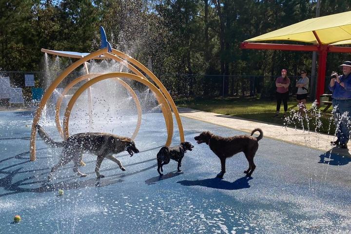 Pet Friendly Lynches River County Park