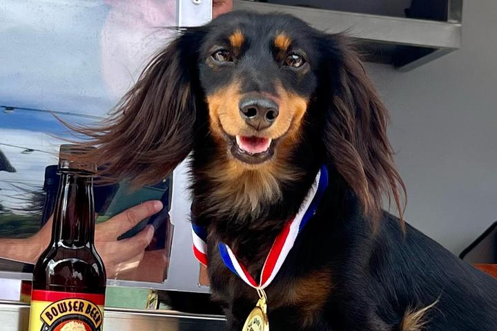 Pet Friendly Wiener Dog Races West Coast Wiener Nationals