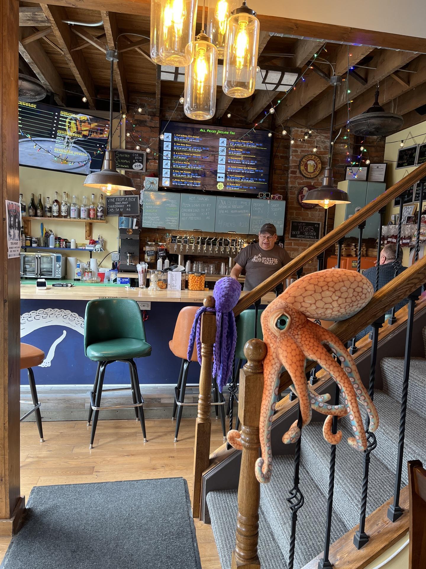 Pet Friendly Spotted Octopus Brewing Co.