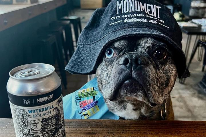 Pet Friendly Monument City Brewing Company