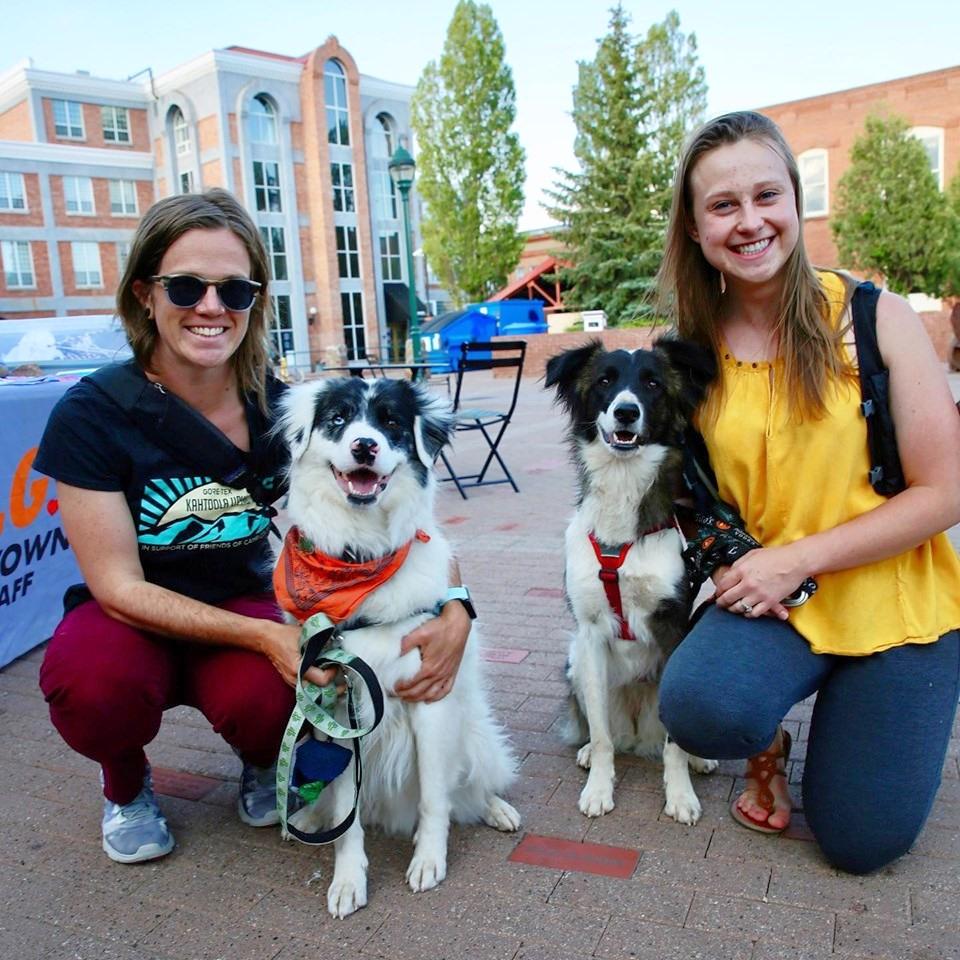 Pet Friendly Movies on the Square