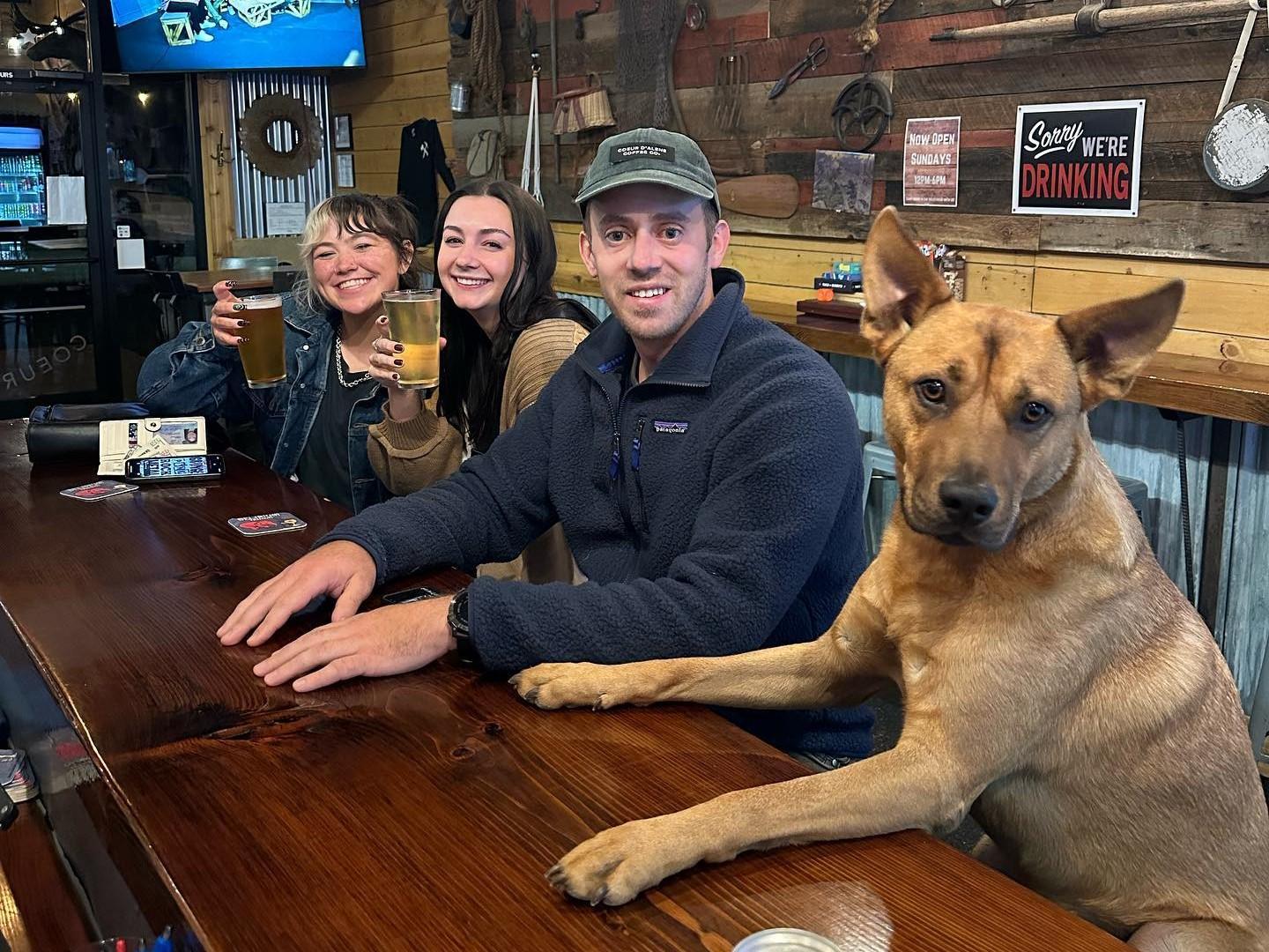 Pet Friendly Outpost Brewing