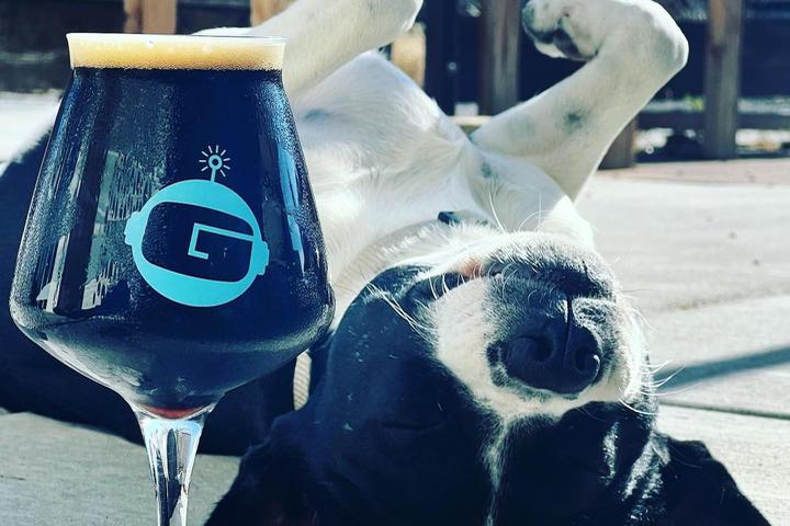 Pet Friendly Gravity Bound Brewing Company