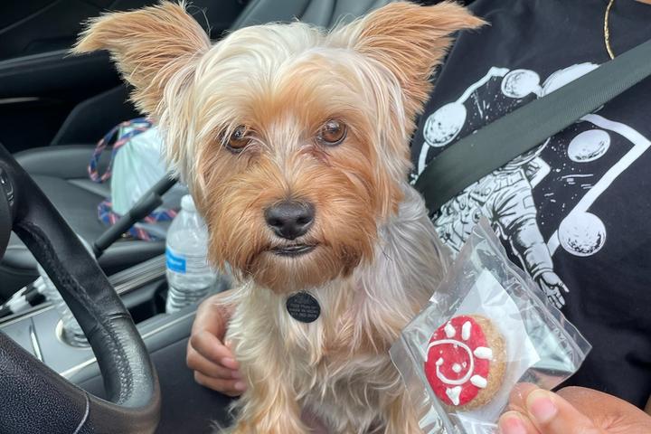Pet Friendly Dog Days of Summer at Chick-fil-A