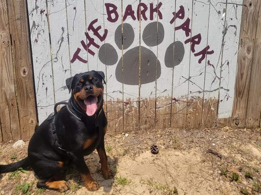Pet Friendly The Bark Park