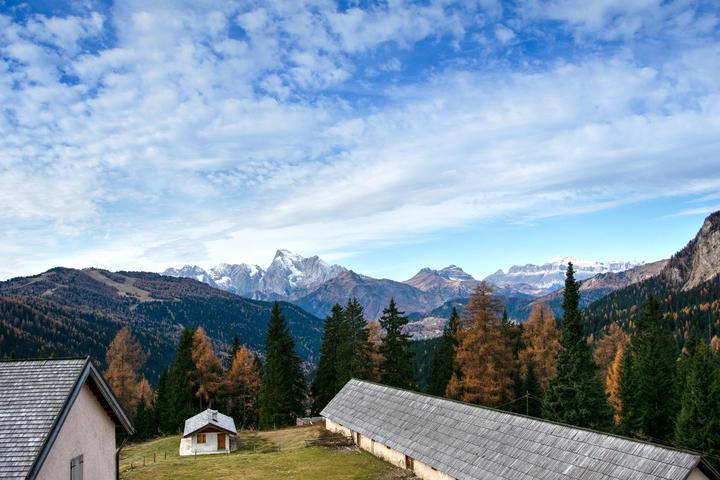 Pet Friendly Dolomiti Bellunesi National Park