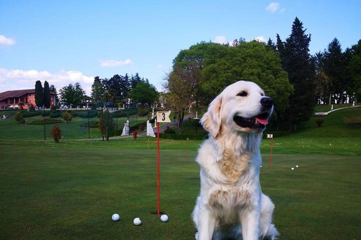 Pet Friendly Golf & Country Club Castello Di Spessa