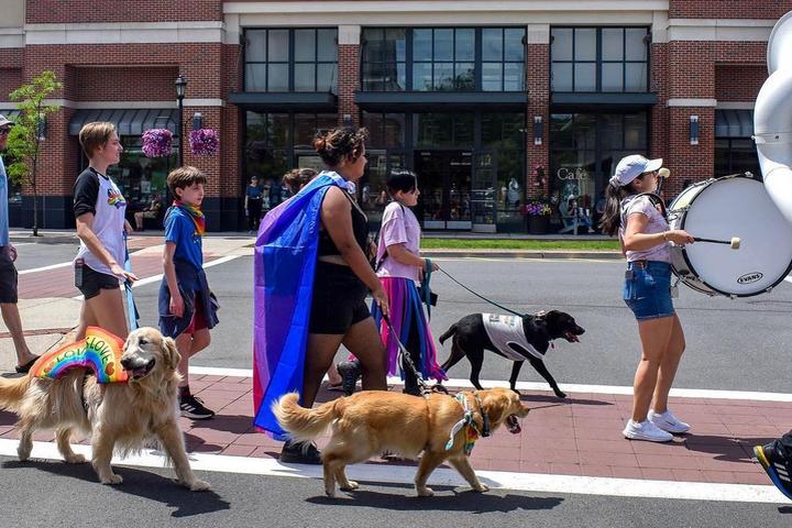 Pet Friendly Pups and Pride Parade + Art Show