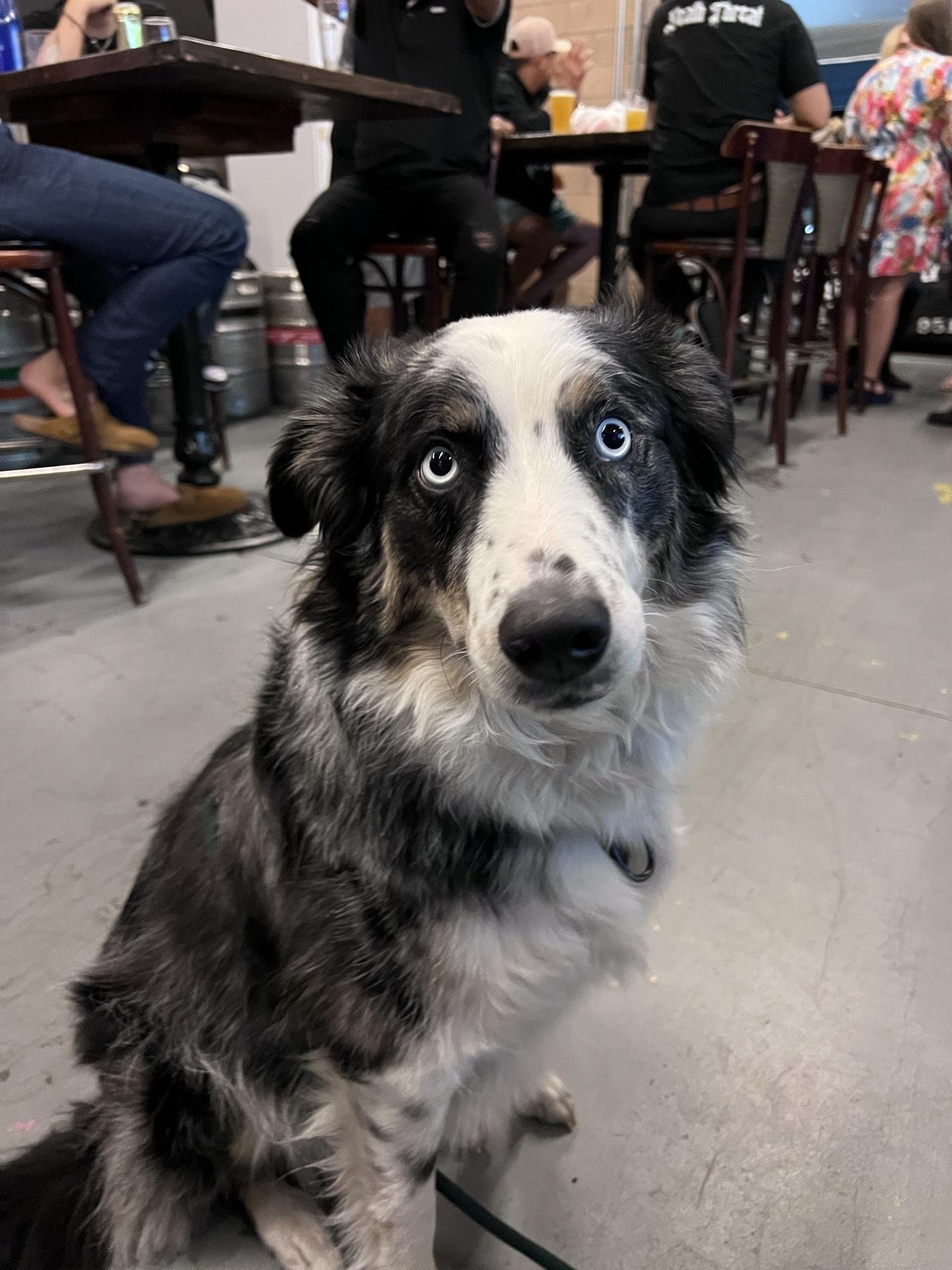 Photo of BRÜE CRÜE