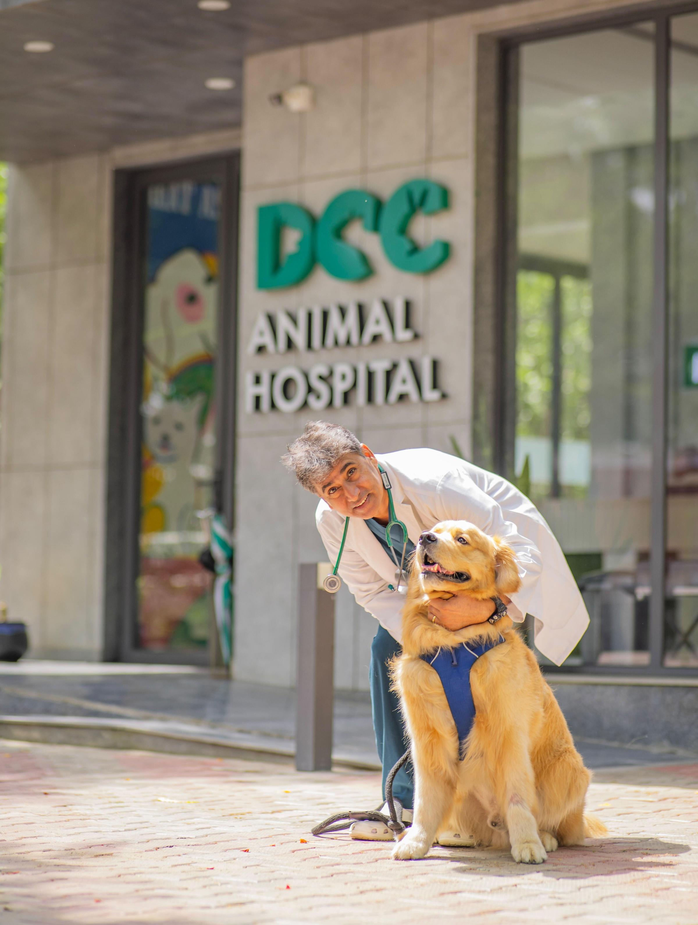 Pet Friendly DCC Animal Hospital