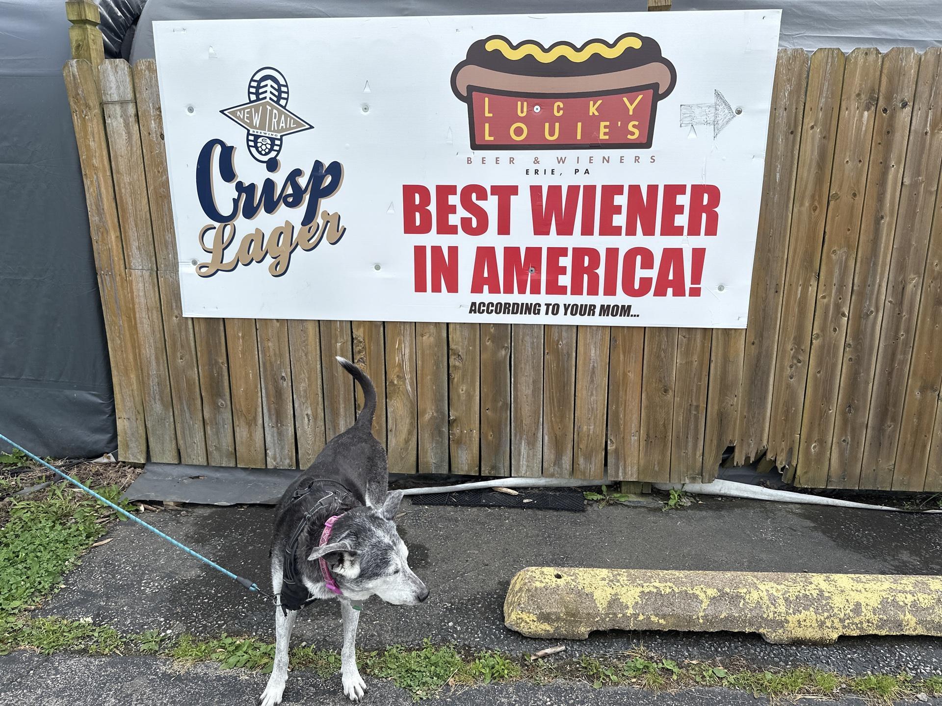 Lucky Louie's Beer & Wieners Pet Policy