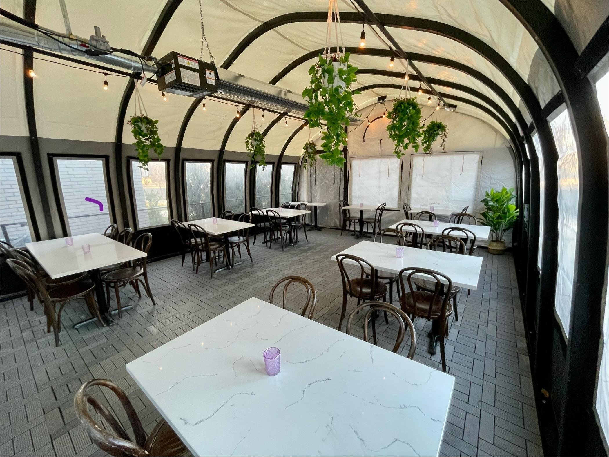 Pet Friendly Violet