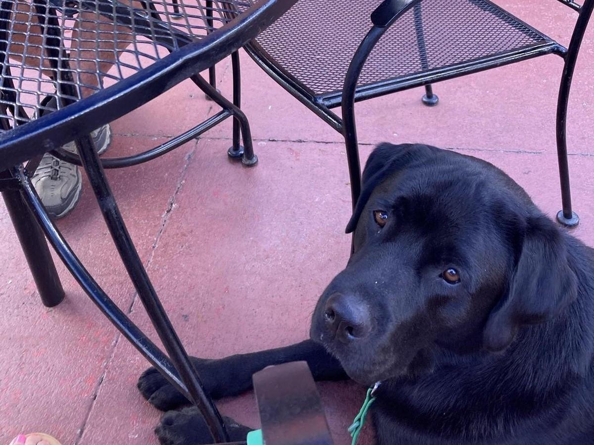 Pet Friendly Pepe's Mexican Restaurant Georgetown