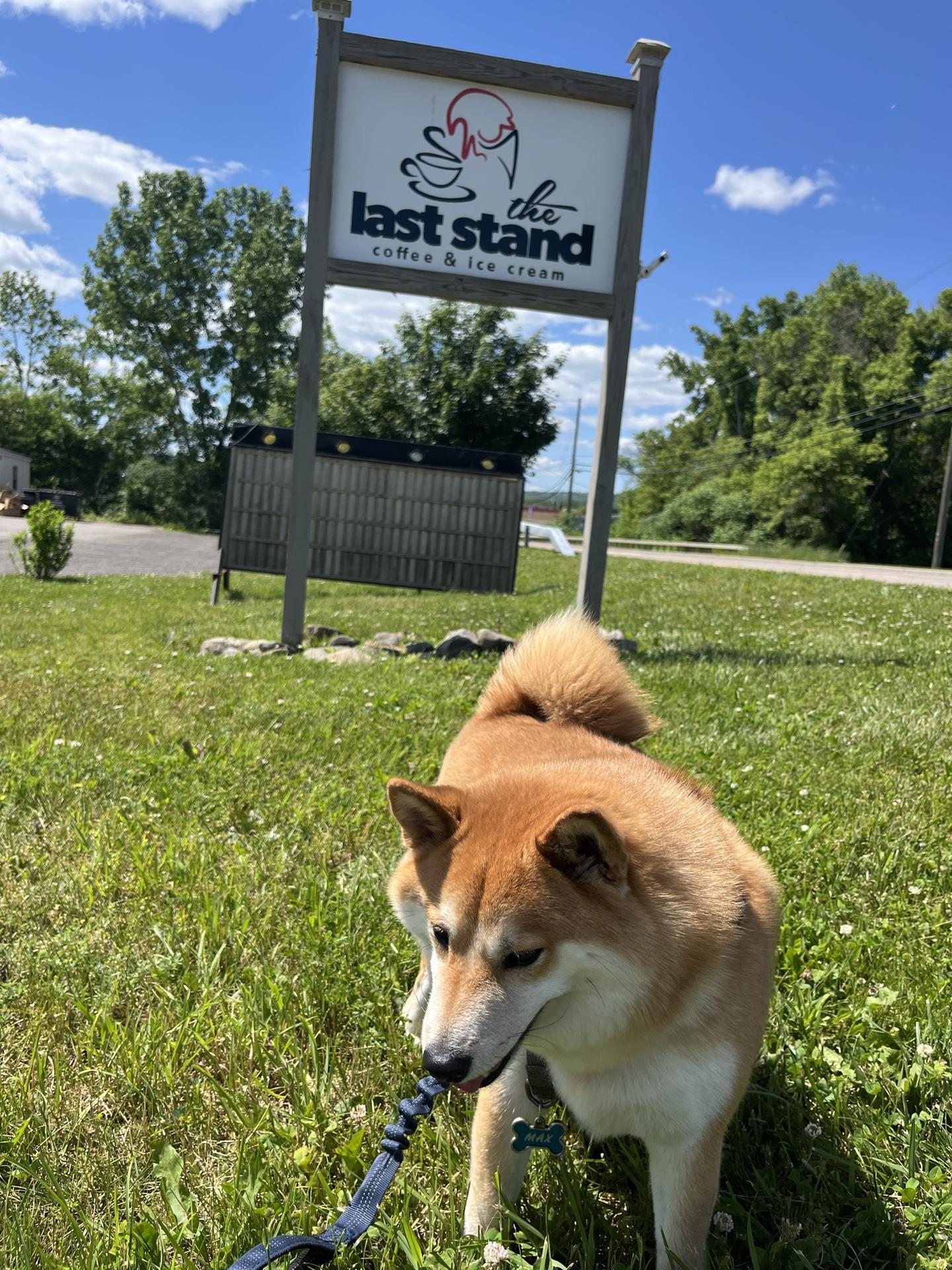 Pet Friendly The Last Stand
