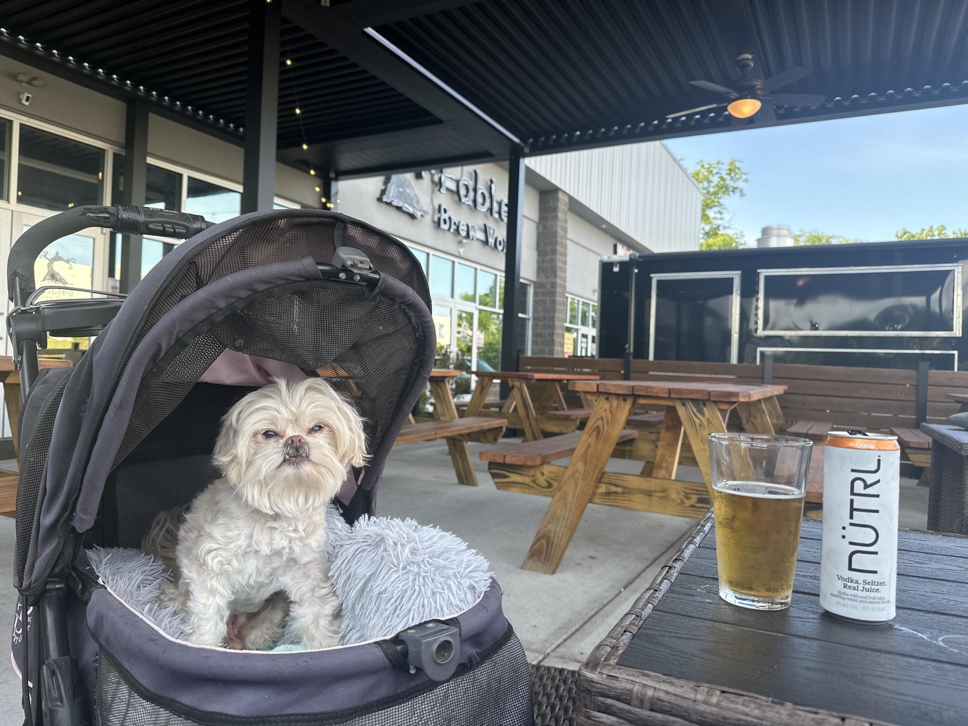 Pet Friendly Fabled Brew Works