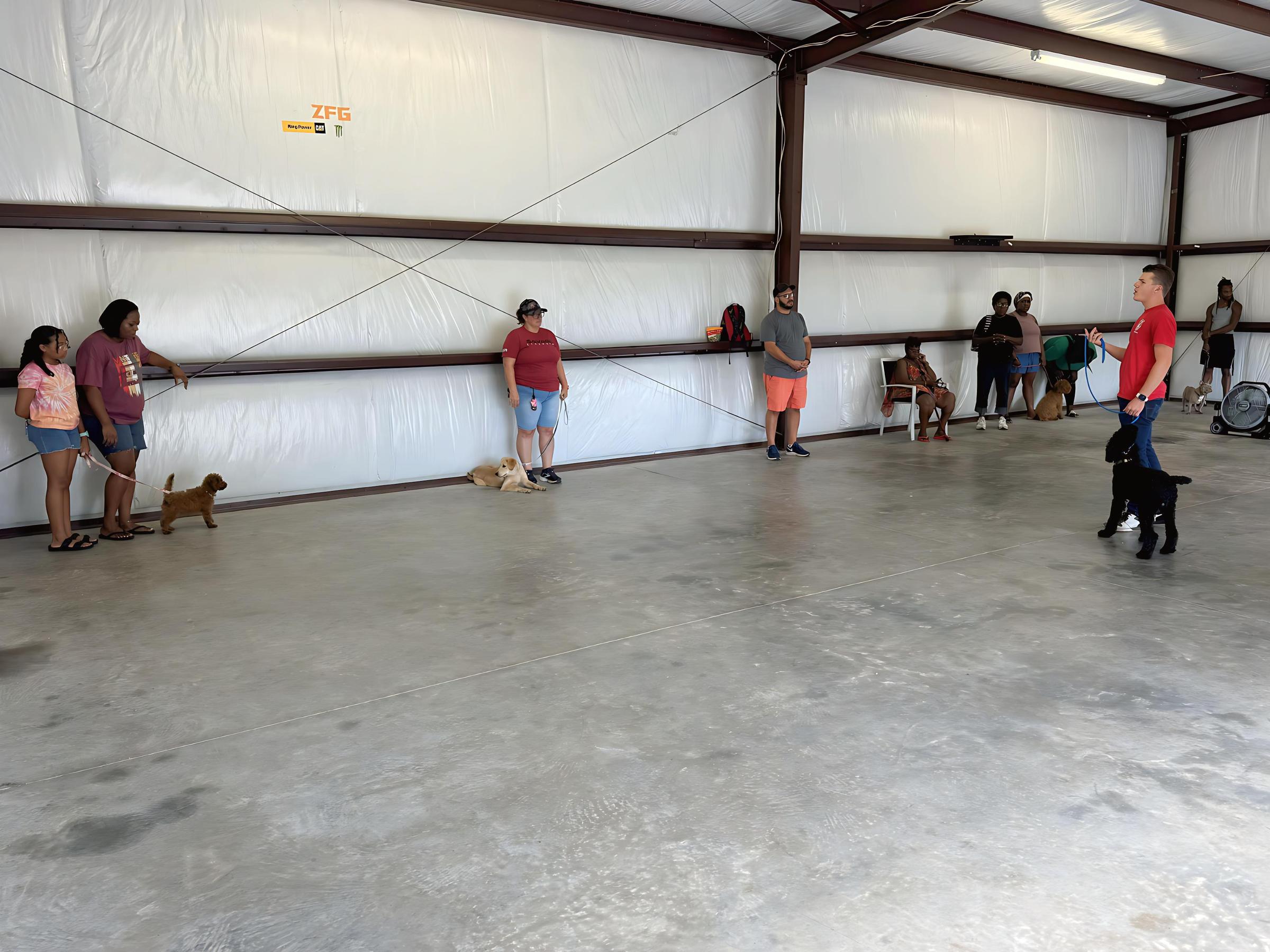 Pet Friendly Stay & Recall Command (FREE Dog Training Class)