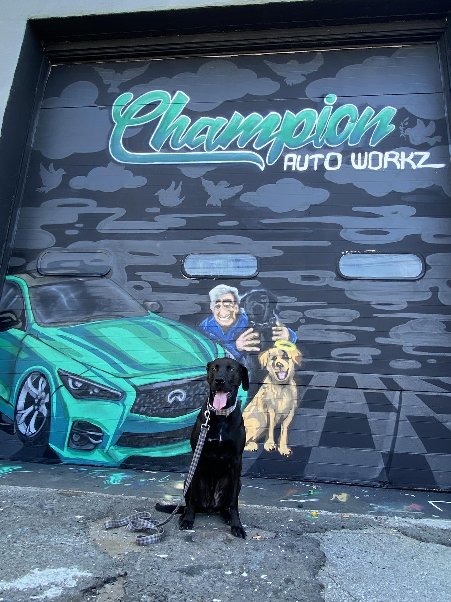 Pet Friendly Champion Autoworkz