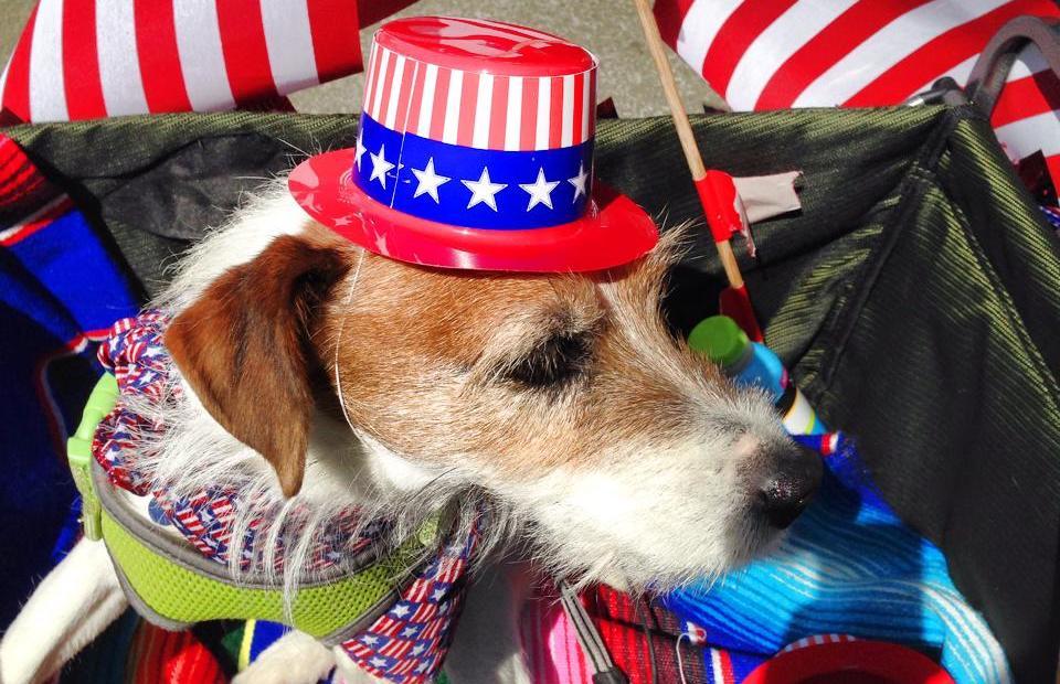 Pet Friendly Down Home 4th of July