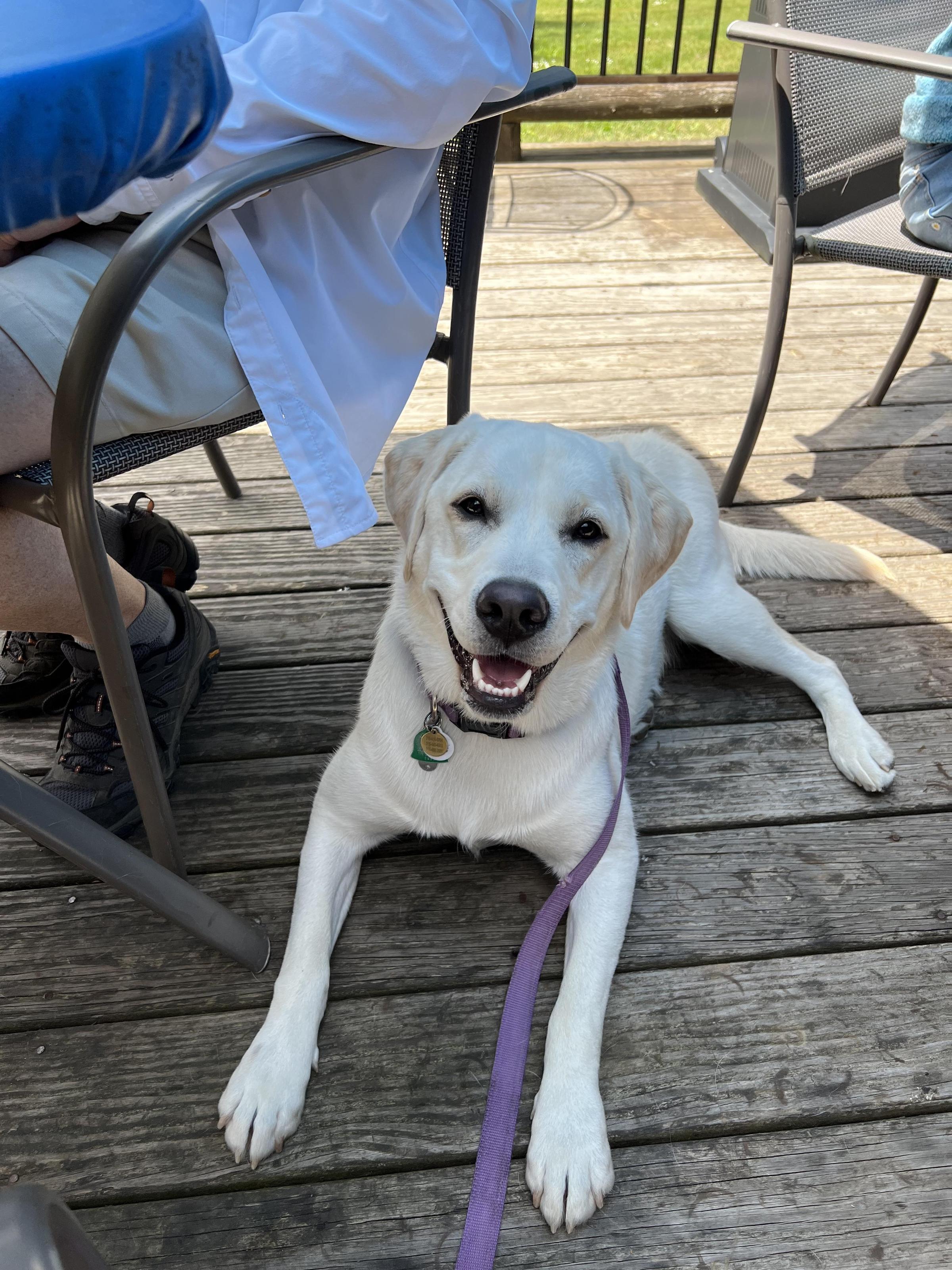 Pet Friendly The Blue Canoe Grill
