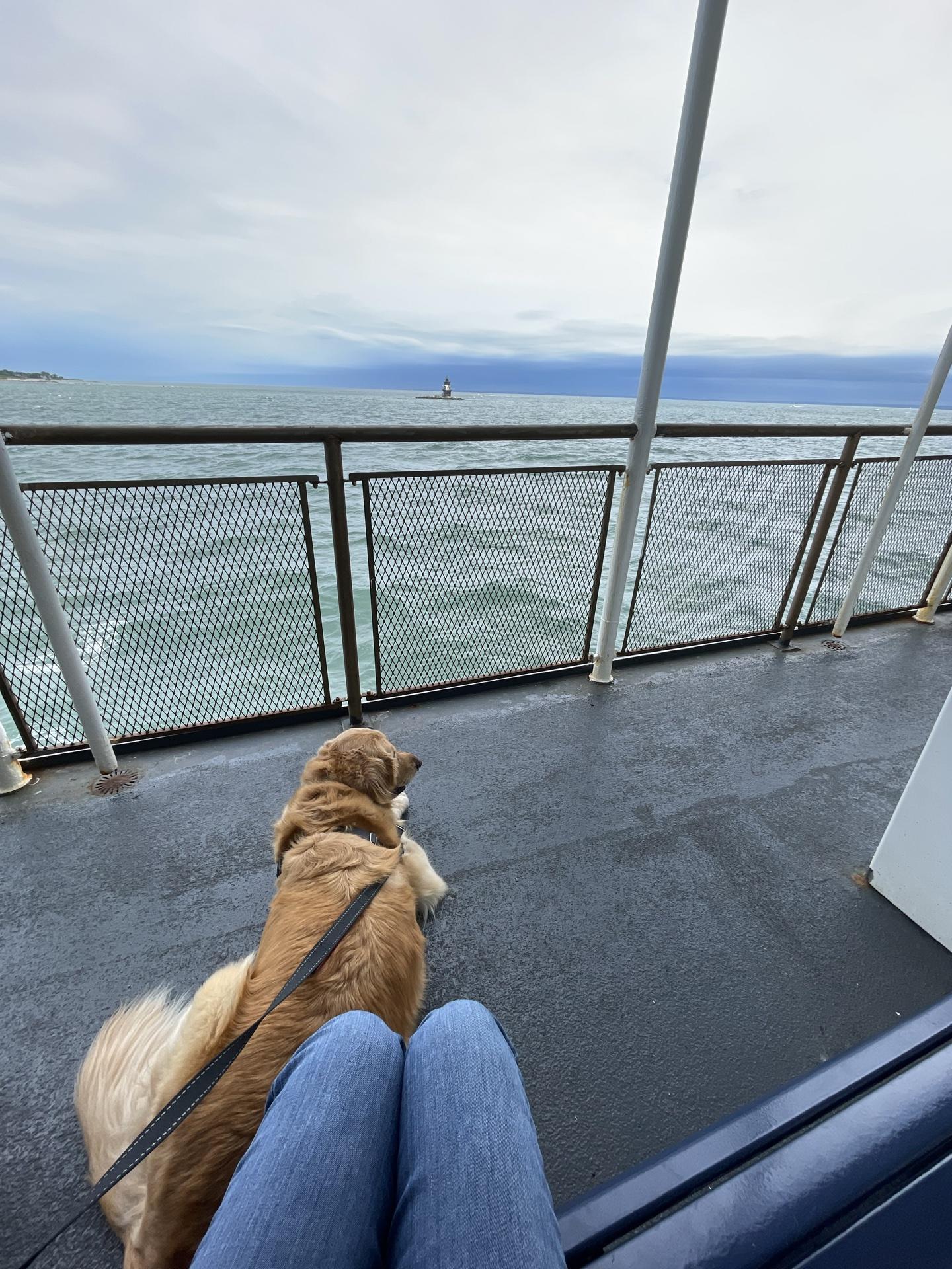 Pet Friendly Cross Sound Ferry