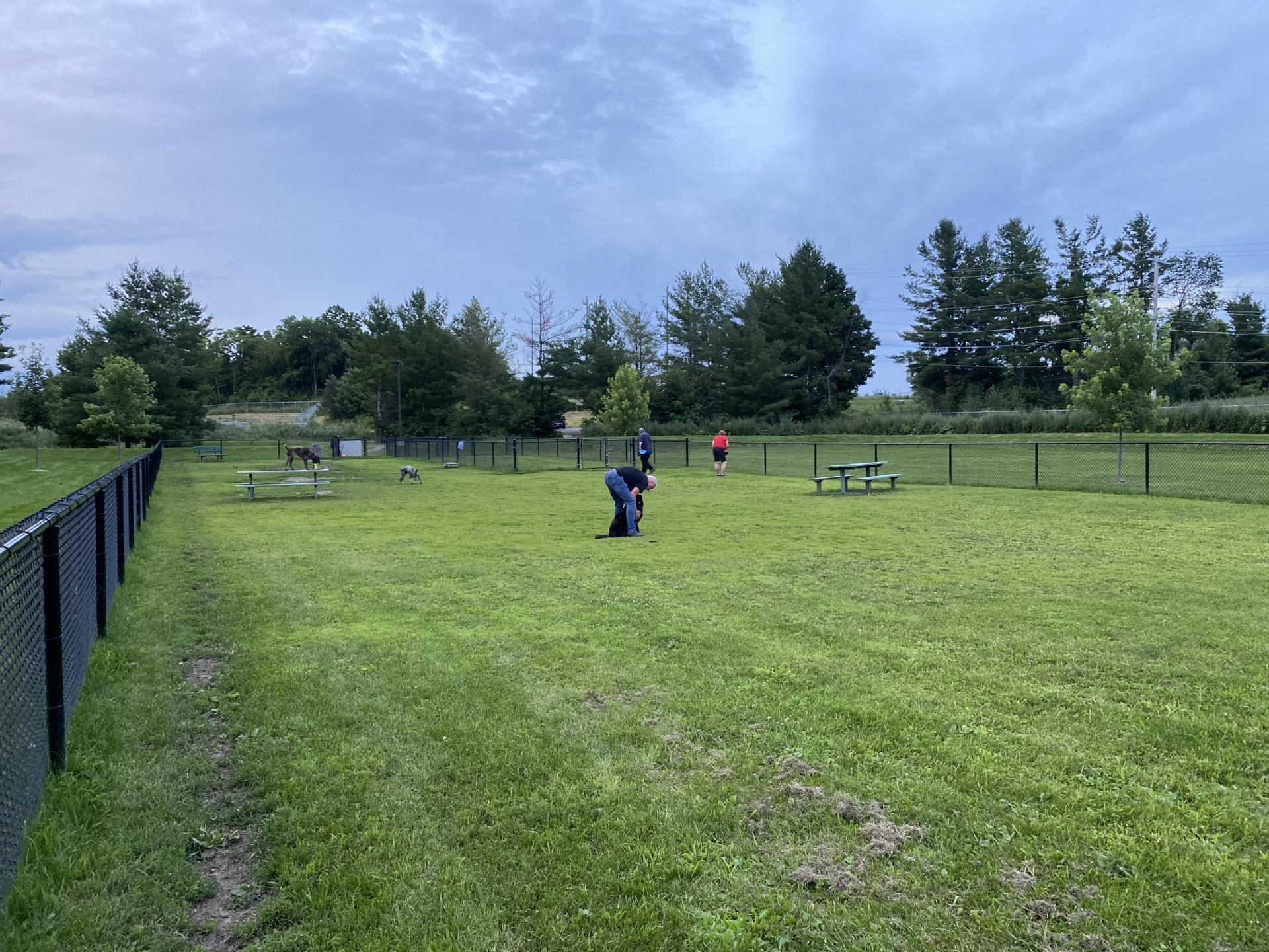 Pet Friendly Carleton Place Dog Park